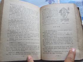 朝鲜文    民间疗法    朝鲜原版