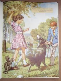 1920年The Mordern World - Book of Animals 现代世界童书绘本《动物志》珍贵初版本 大量插图 绝美彩色水彩插图