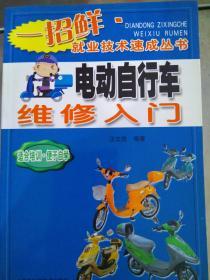 正版一招鲜《电动自行车维修入门》汪文胜  编/安徽科学技术出版社