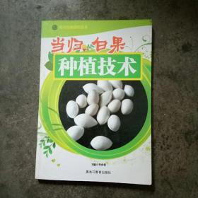 当归 白果种植技术