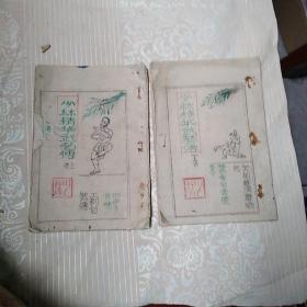 少林精华武艺传   上下集