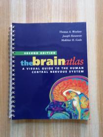 thebrain atlas