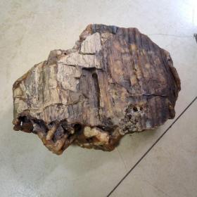 大树化玉一块，石来运转，产地黑龙江的木化玉。重达四公斤。