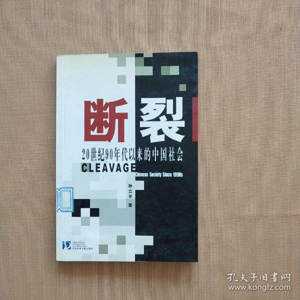 断裂：20世纪90年代以来的中国社会