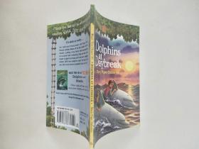 Dolphins at Daybreak (Magic Tree House #9) 神奇树屋系列9：与海豚共舞