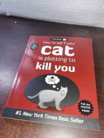 How to Tell If Your Cat is Plotting to Kill You