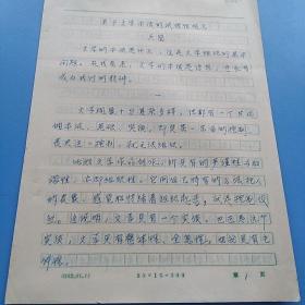 陈宝峰手稿：关于文学本质的试探性性观点