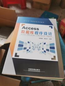 Access数据库程序设计/“十三五”高等学校规划教材