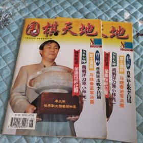 围棋天地 1999年第8期