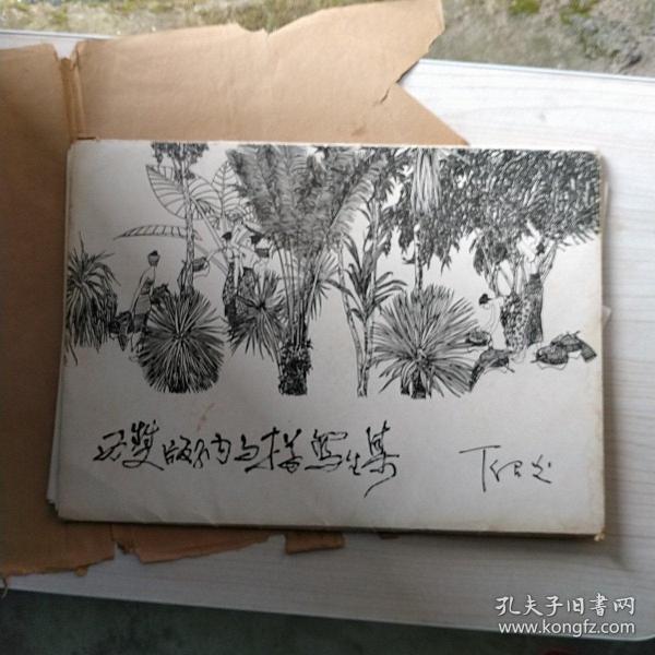 丁绍光西双版纳白描写生集内有约20幅著名画家绘画的作品