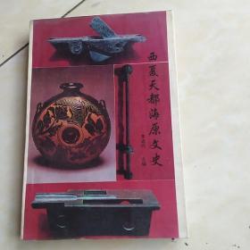 西夏天都海原文史（李进兴主编）