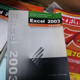 Excel 2003中文电子表格