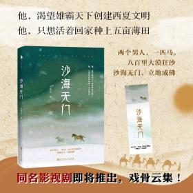 沙海无门（赵又廷推荐：西夏、大漠，两个只能活一个的绝地逃生！《南极之恋》导演吴有音新作。）