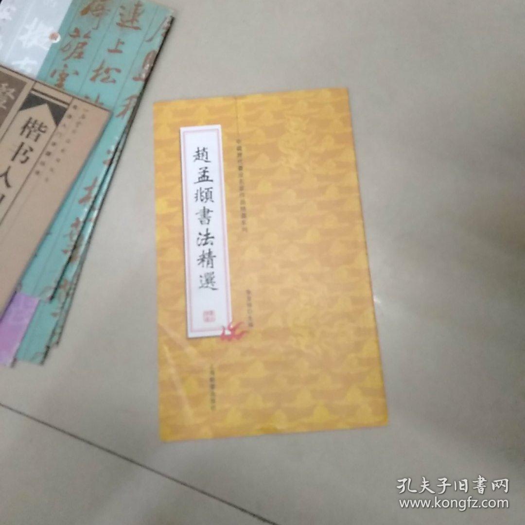 中国历代书法名家作品精选系列，赵孟頫书法精选。