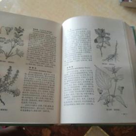 中国高等植物图鉴