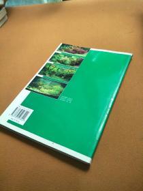 水草造景实用手册：从入门到精通
