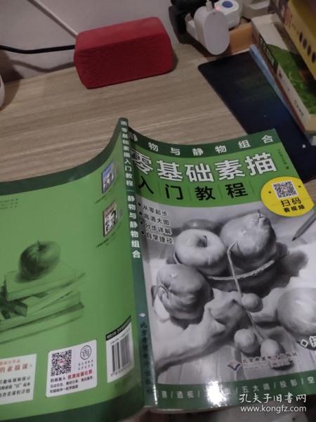 零基础素描入门教程：静物与静物组合