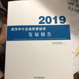 武汉中小企业民营经济发展报告-2019