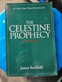 The Celestine Prophecy：An Adventure