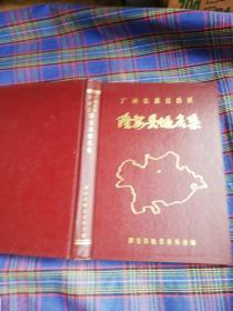 隆安縣地名集