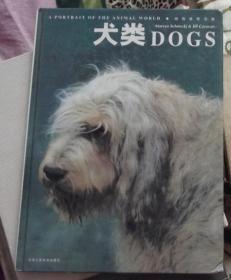 犬类-动物世界写真