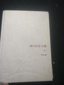 新经济学大纲（上下）（三联经典文库）