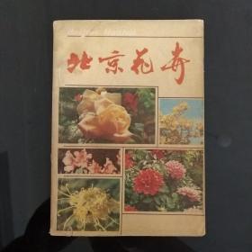 北京花卉