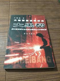 大黑帮——21世纪大案要案侦破纪实系列