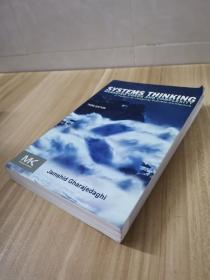 Systems Thinking Third Edition: Managing Chaos And Complexity: A Platform For Designing Business Ar