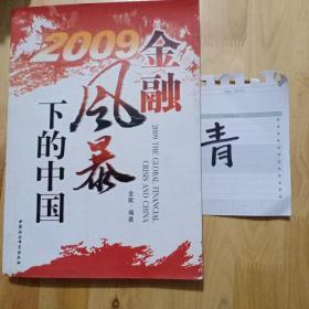 2009金融风暴下的中国