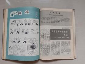 《中国卫生画刊》1985年第1期至第6期，1985.1-1985.6全年精装合订本六期全。内含吴爱栋绘《死去活来》，高燕绘《真是急死人》、刘建平绘《疟疾古今谈》，王弘力绘《袁世凯的死因》等连环画作品