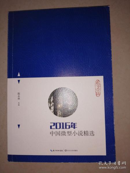 2016年中国微型小说精选
