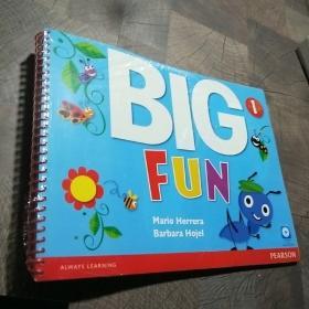 BIG FUN 1