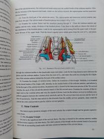 局部解剖学（英文版） 第三版 （2003年2月第3版第3次印刷）