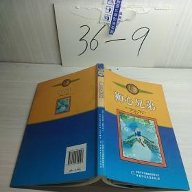 新版林格伦作品选集 美绘版-狮心兄弟