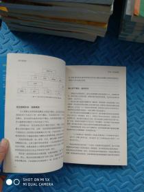 金字塔原理（思考、表达和解决问题的逻辑）+金字塔原理2（实用训练手册）2册合售