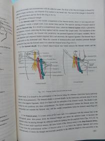局部解剖学（英文版） 第三版 （2003年2月第3版第3次印刷）