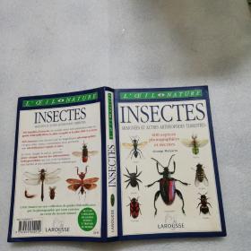 INSECTES