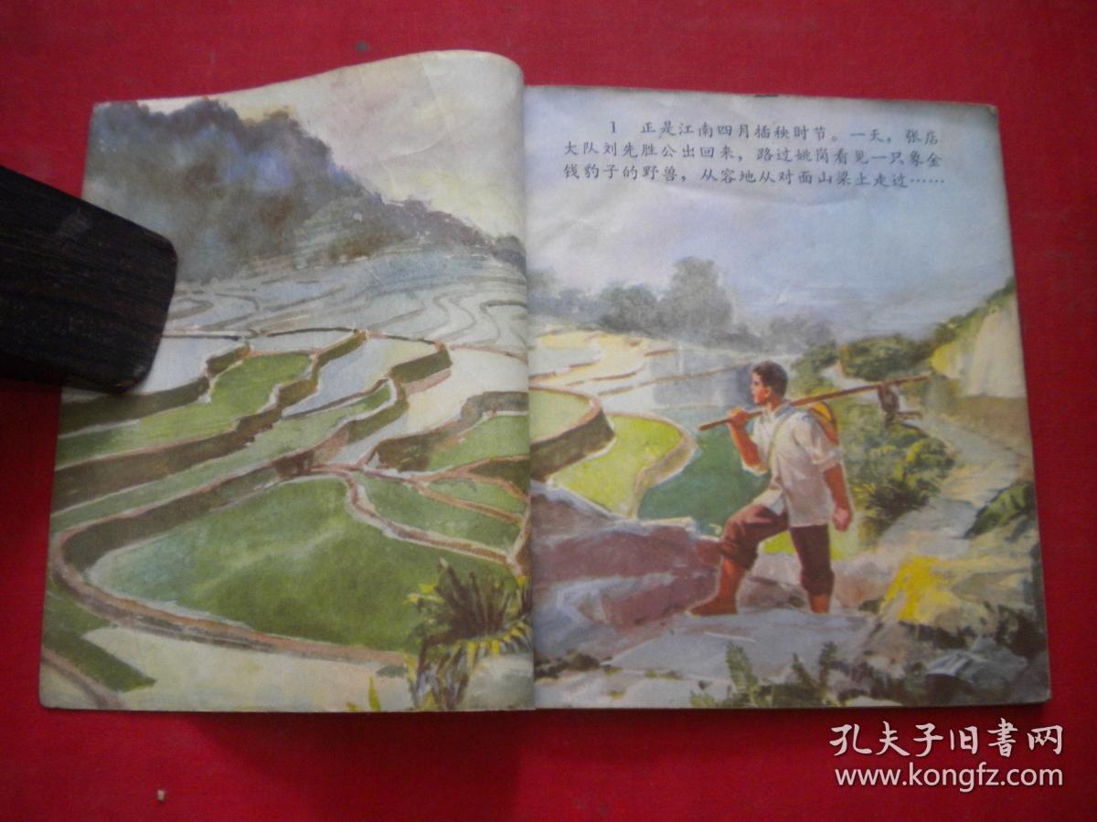 《打豹记》缺前后页，40开彩色纪清和绘，辽美1975.4一版一印7品，2010号，连环画