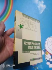 超大城市产业空间形态的生成与发展研究