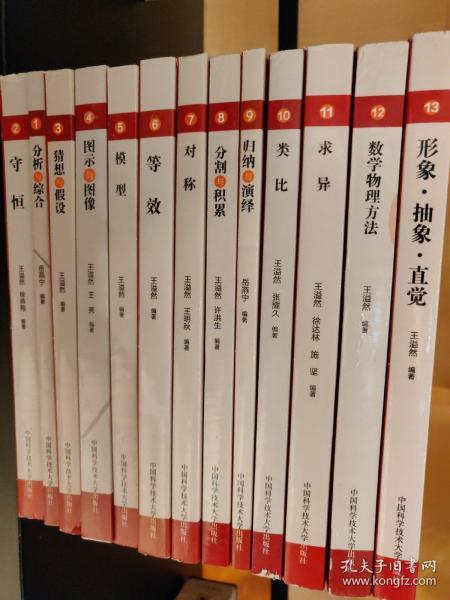 中学生物理思维方法丛书 全套13册 中国科学技术大学 守恒模型等