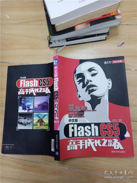 Flash CS5高手成长之路（中文版）