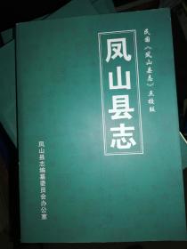 广西凤山县志 民国凤山县志点校版