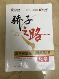 骄子之路 2020高考总复习 全程复习方略   化学