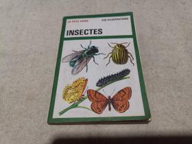 法文原版 科普画册 《昆虫》