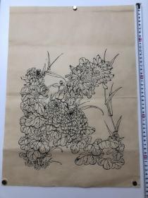 木版年画  菊花图（46×34）cm  老版 老画，品相自鉴。