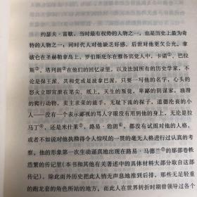 一个政治性人物的肖像