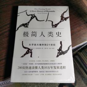 极简人类史：从宇宙大爆炸到21世纪