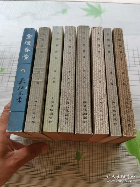 金陵春梦（1--8册全）1至7上海版，8是北京版
