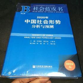 社会蓝皮书：2020年中国社会形势分析与预测